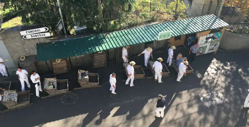 monte-madeira-portugal-korbschlittenfahrt korbschlitten fahrt monte nach funchal, madeira portugal