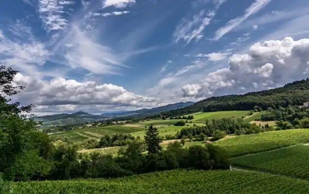 Landschaft in Staufen bei Freiburg im Breisgau