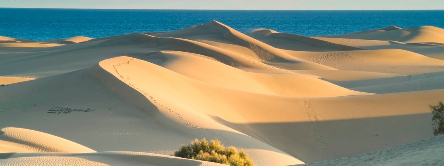 grand canaria sanddüne