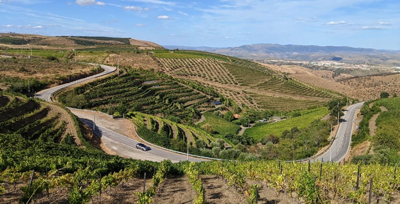 Straße durch Weinberge im Douro Tal in Portugal